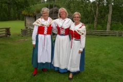 Tre dalsländskor: Anna-Lena Kadin, Elisabeth Jonsson, Ebba von Krogh.